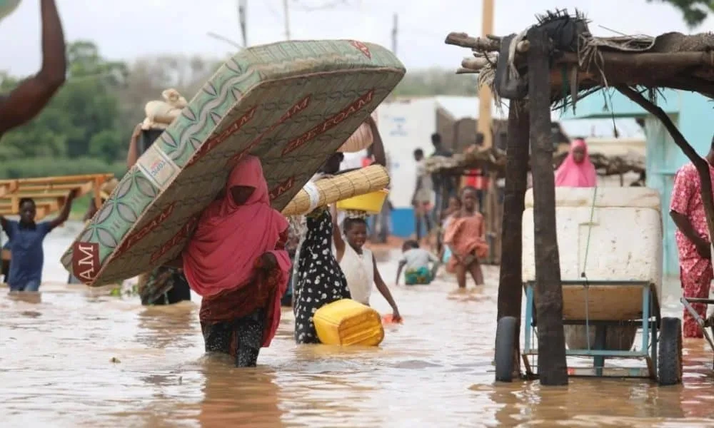 flood, kebbi